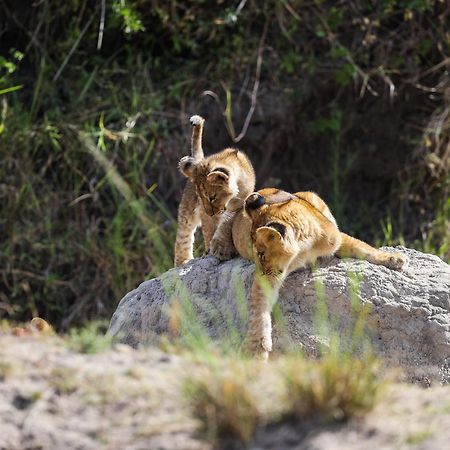 Villa Mara Elatia Camp Maasai Mara Esterno foto