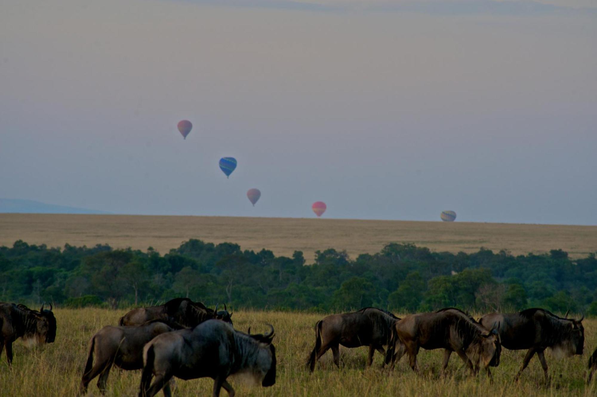 Villa Mara Elatia Camp Maasai Mara Esterno foto