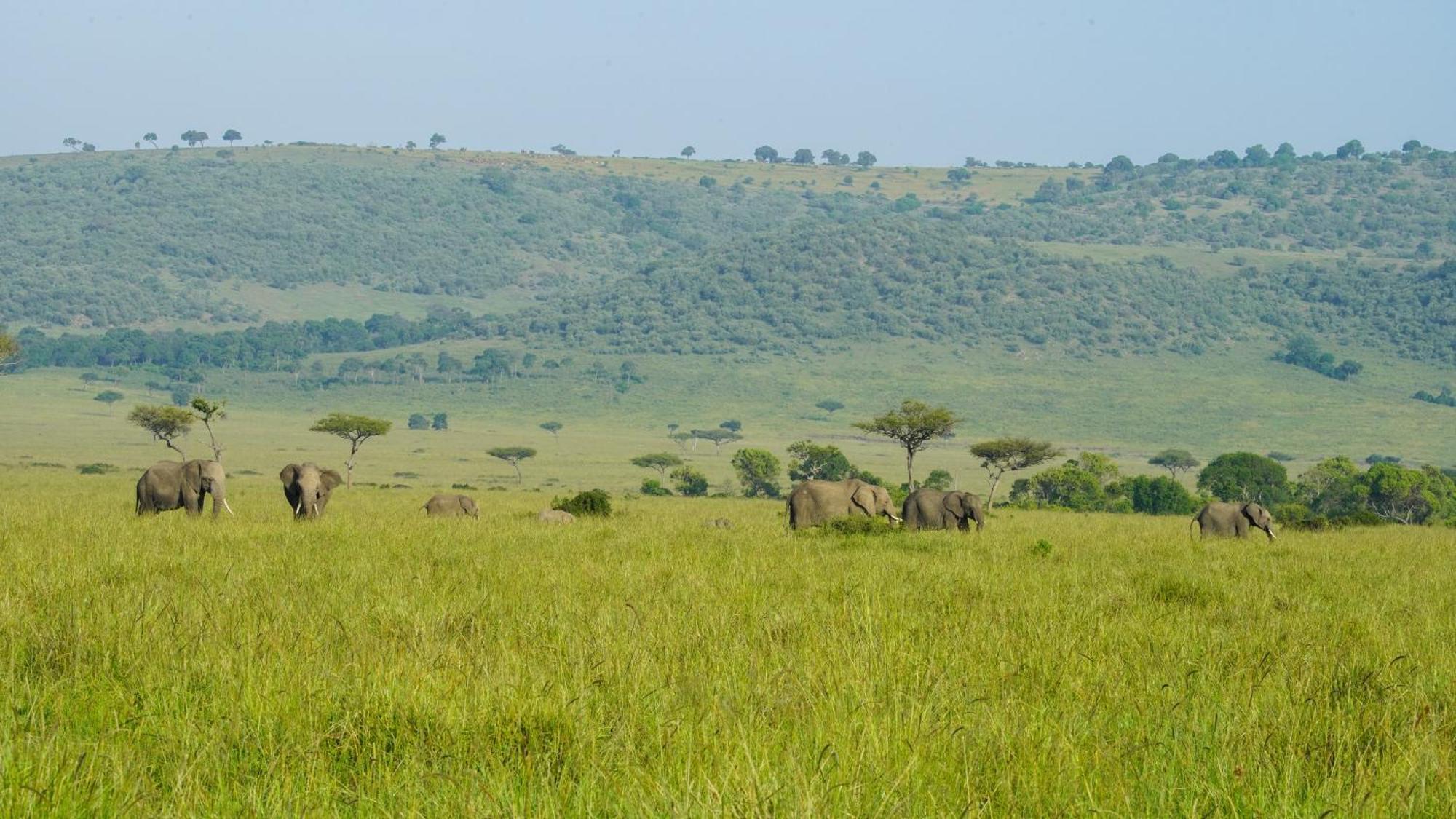 Villa Mara Elatia Camp Maasai Mara Esterno foto