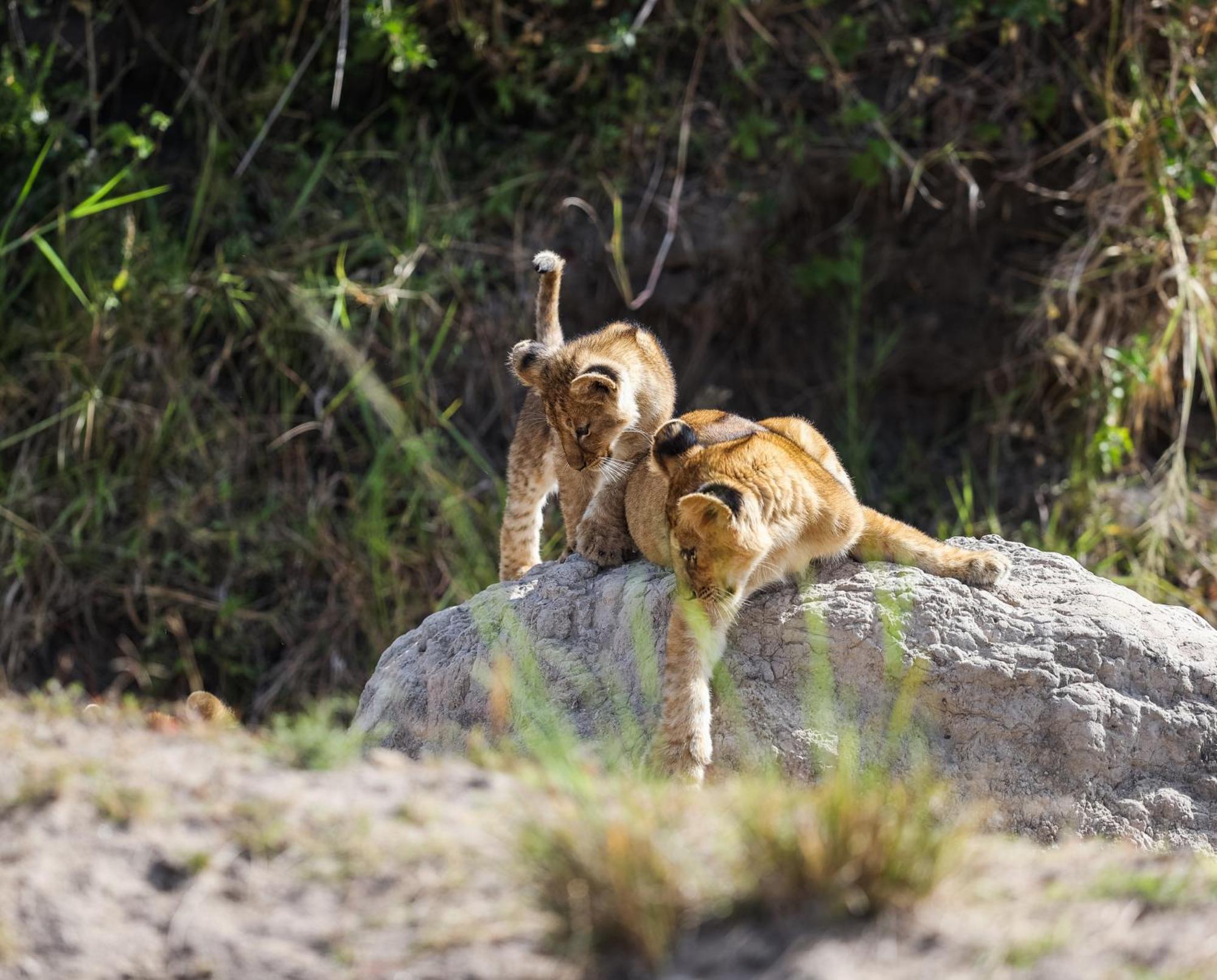 Villa Mara Elatia Camp Maasai Mara Esterno foto